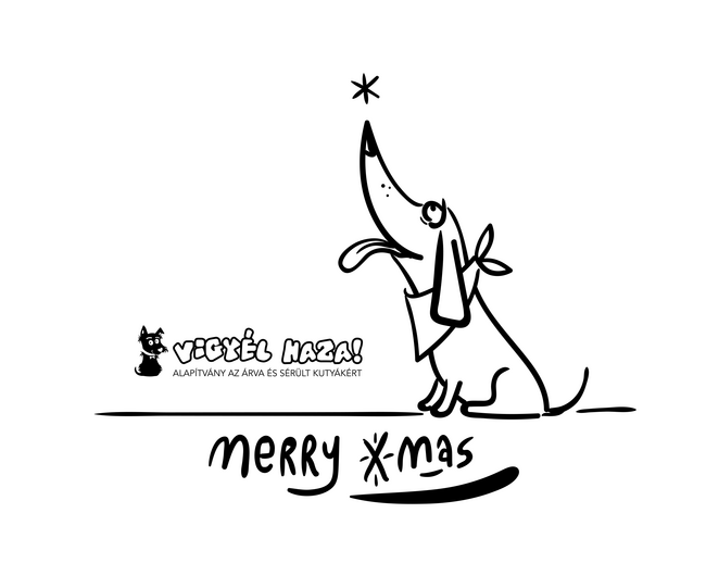 Csillag xmas